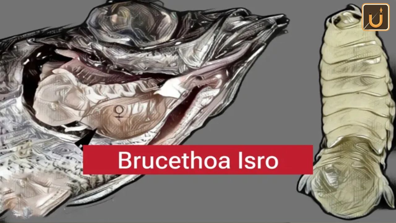 Usthadian Academy / Researchers Named after ISRO New species of Isopod Discovered in Kollam | 27 mar 2024 Usthadian Academy / Researchers Named after ISRO New species of Isopod Discovered in Kollam